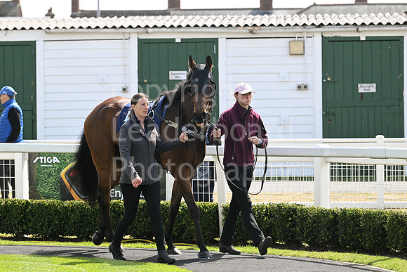 Gt_Yarm_May14_2025-42