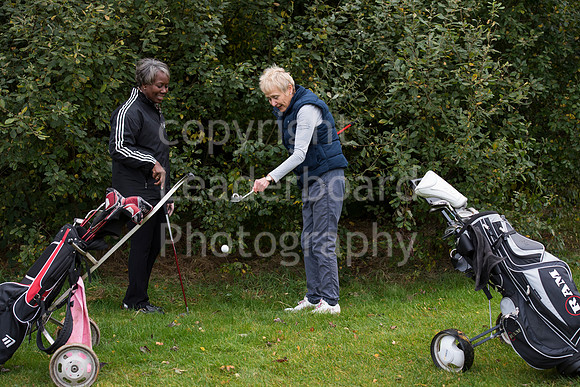 NB_094_Bromley_9_Hole