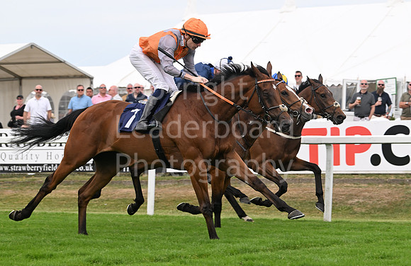 Gt_Yarm_Residents_Day_June_27-157