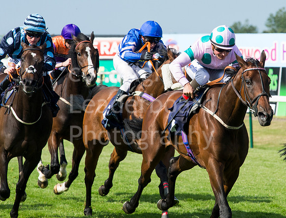 LB_GYR_13_06_17_0289