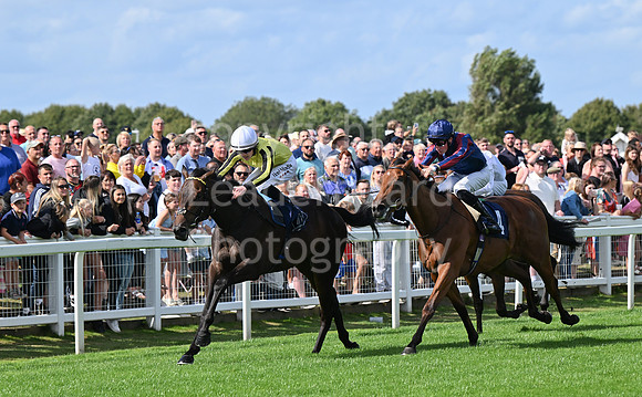 Gt_Yarm_25_Aug_Family_Raceday_2024-69