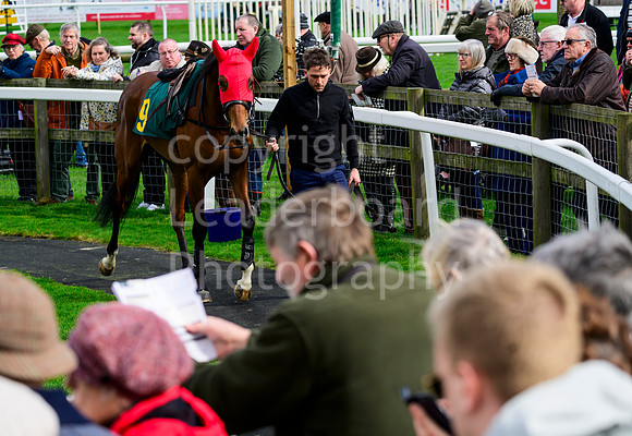 NJB_4999