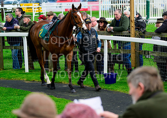 NJB_5019