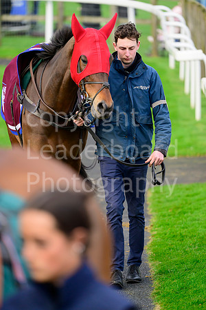 NJB_6697
