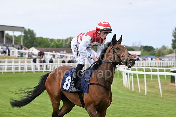 Gt_Yarm_May14_2025-154