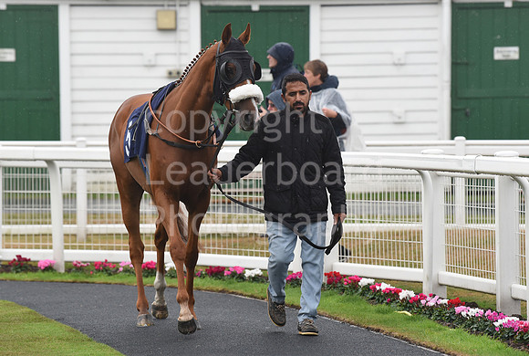 Gt_Yarm_Eastern_Fest_Day_1-130