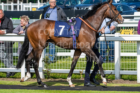 LBP_5492
