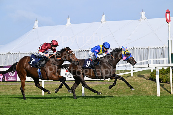 Gt_Yarm_Eastern_Fest_18_Sept_2024-161