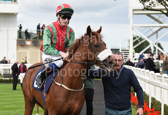 Gt_Yarm_25th_Sept_2022-11