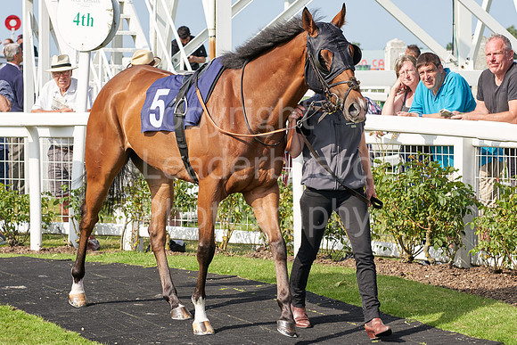 Great Yarmouth  Race Seven 11th Aug 2021 0511