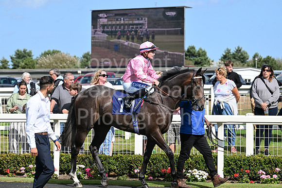 Gt_Yarm_25_Aug_Family_Raceday_2024-46