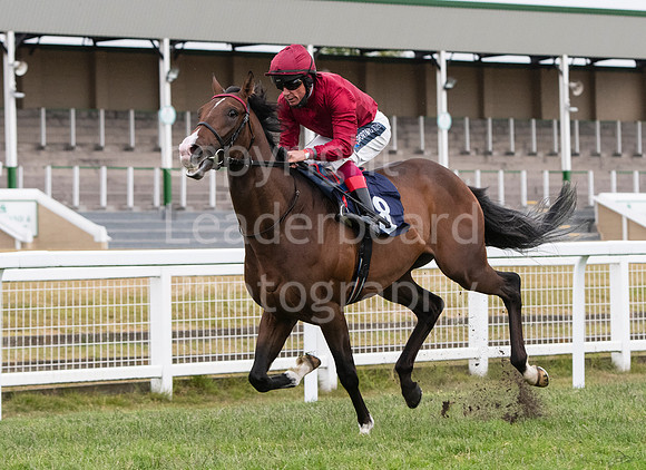 LBP_9962