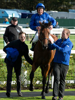 LB_GY_races_10_10_2016_0081