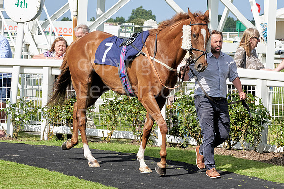 Great Yarmouth  Race Six 11th Aug 2021 0435