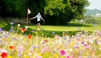 English Women's Stroke Play 2016