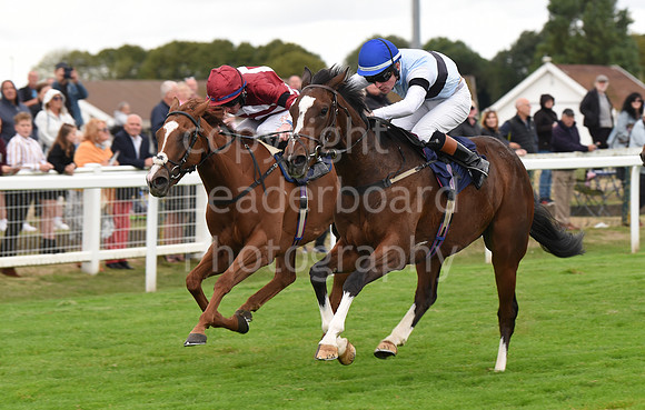 Gt_Yarm_15_Sept_2022-114
