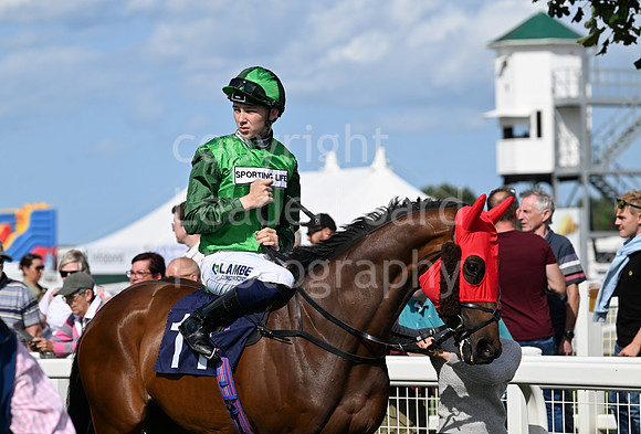 Gt_Yarm_25_Aug_Family_Raceday_2024-96