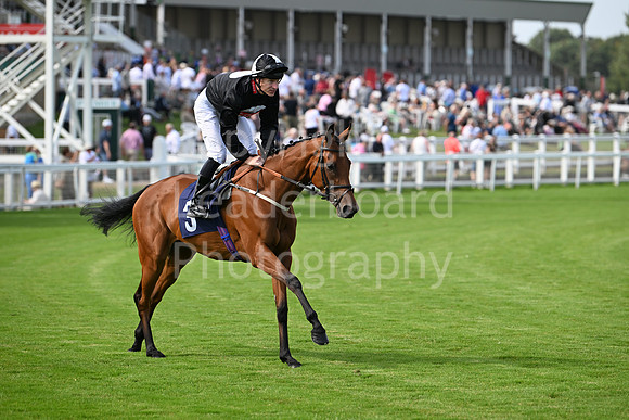 Gt_Yarm_Aug_8_2024-127