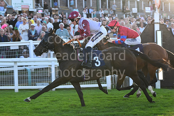 Gt_Yarm_Ladies Night_2025-146