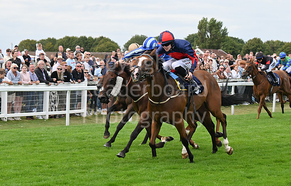Gt_Yarm_25_Aug_Family_Raceday_2024-207