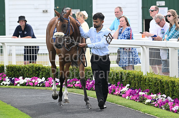 Gt_Yarm_Residents_Day_June_27-36