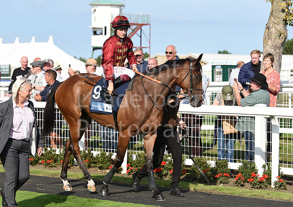 Gt_Yarm_14_Sept_2022-80