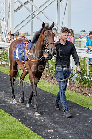 Great Yarmouth  Race Six 11th Aug 2021 0420