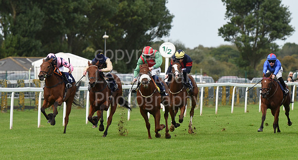 Gt_Yarm_25th_Sept_2022-15