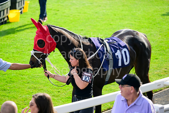 NZ9_5824