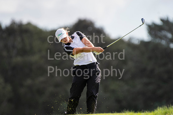 LBP_3104