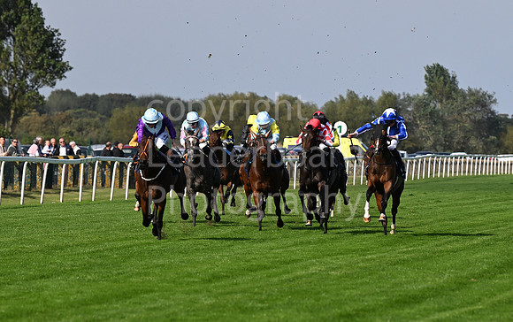 Gt_Yarm_Eastern_Fest_18_Sept_2024-63