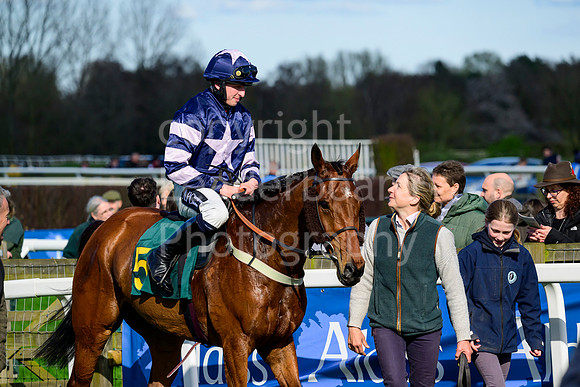 Z91_9459