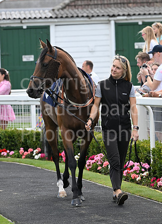 Gt_Yarm_25_Aug_Family_Raceday_2024-2