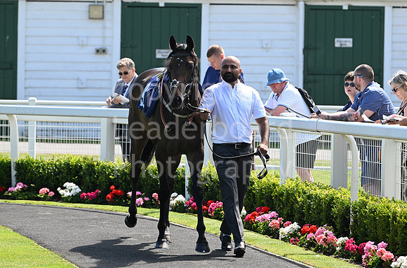 Gt_Yarm_July_30_2024-86