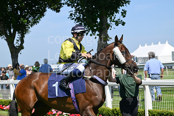 Gt_Yarm_July_30_2024-16