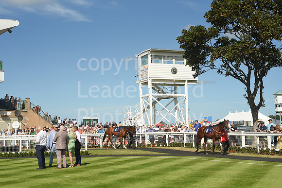 Gt_Yarm_Races_28_Aug_2022-50