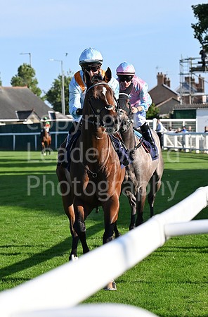 Gt_Yarm_Ladies Night_2025-58