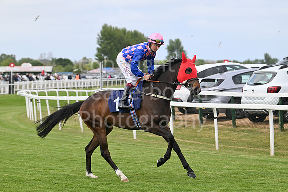 Gt_Yarm_May14_2025-158