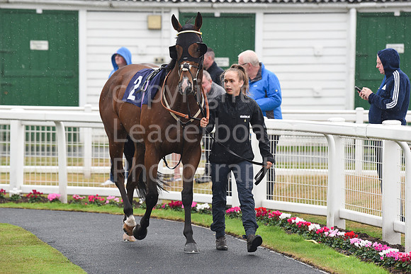 Gt_Yarm_Eastern_Fest_Day_1-105