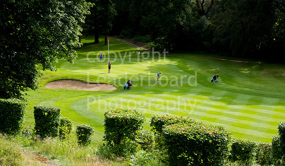 LB_Senior_womens_stroke_play_2016_2356