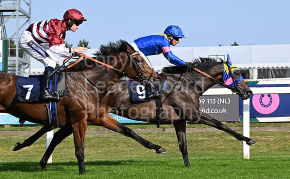 Gt_Yarm_Eastern_Fest_18_Sept_2024-164