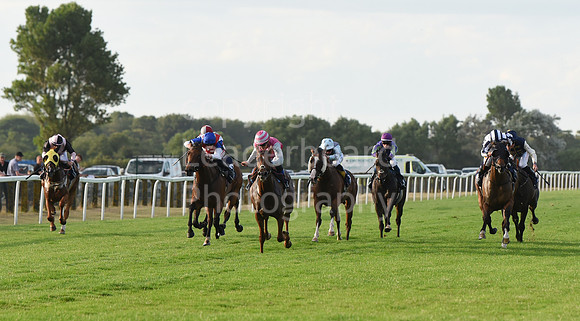 Gt_Yarm_3_Aug_2022-141