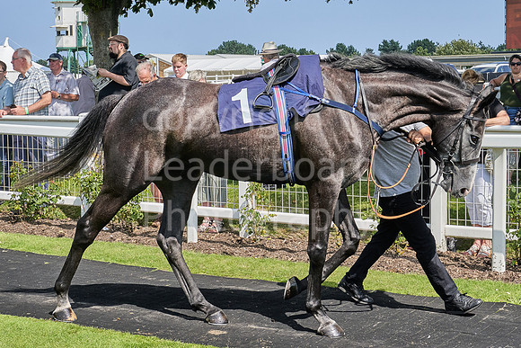 Great Yarmouth  Race Three 11th Aug 2021 0227