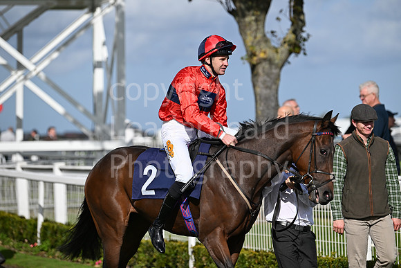 Gt_Yarm_Oct_7_2024-10