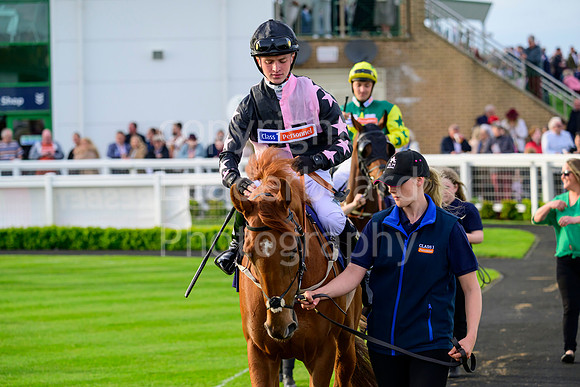 Z91_2769