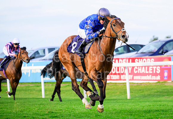 Z91_2846