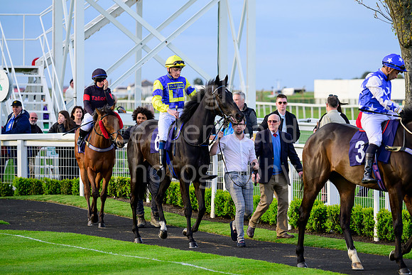 Z91_2918