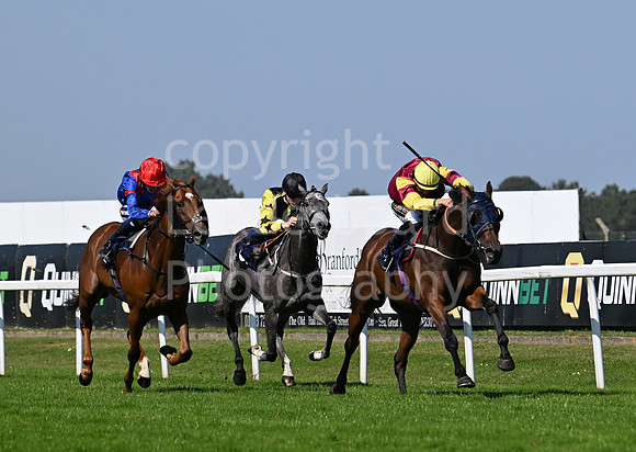 Gt_Yarm_July_30_2024-201