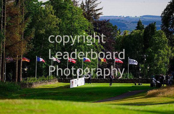 NZ9_6502