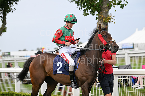 Gt_Yarm_Aug_8_2024-178